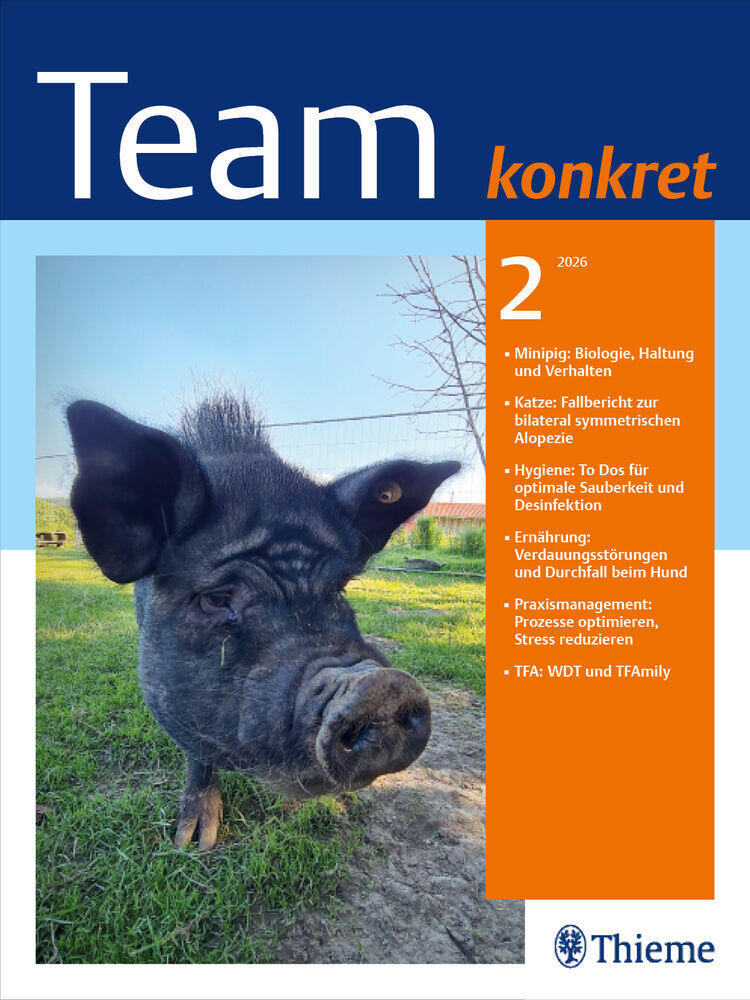Titelbild der Zeitschrift "Team konkret"